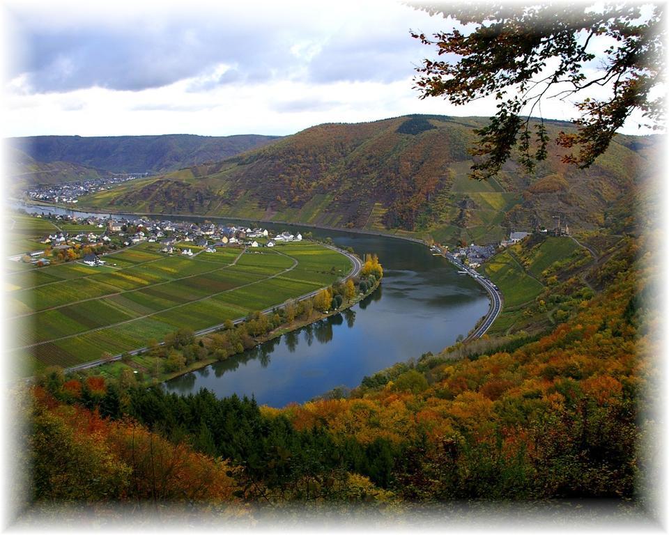 Apartment Weingut Im Moselkrampen *