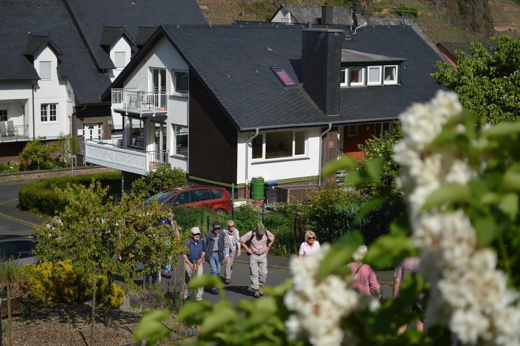 Apartment Weingut Im Moselkrampen