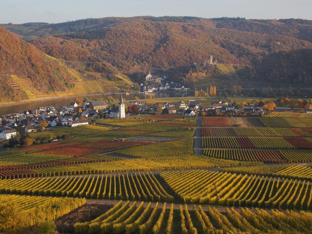 Apartment Weingut Im Moselkrampen